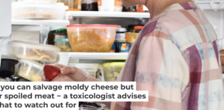 Molds on foods produce a range of microbial toxins and biochemical byproducts that can be harmful. JulieAlexK/iStock via Getty Images